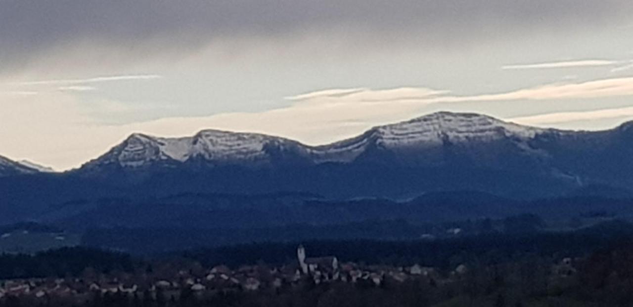 Appartamento Alpenblick Leutkirch im Allgäu Esterno foto