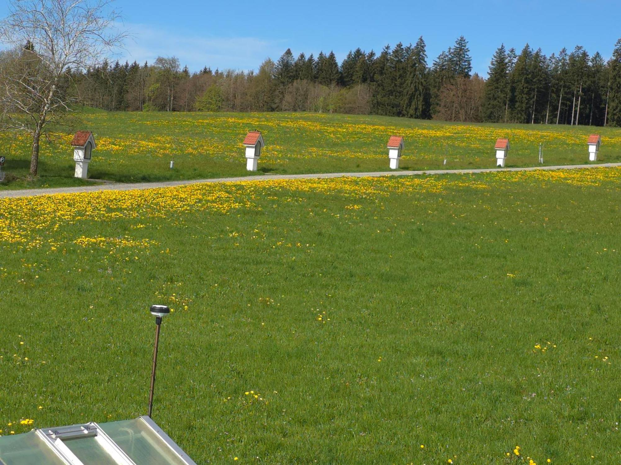 Appartamento Alpenblick Leutkirch im Allgäu Camera foto